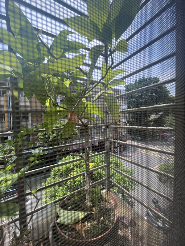 L20 仁愛公園~愛一路發美寓